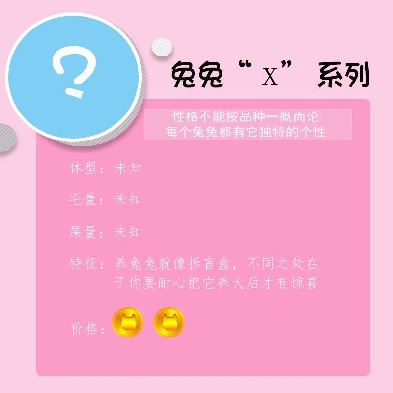 若你内心不够强大，千万不要去养兔子(图7)