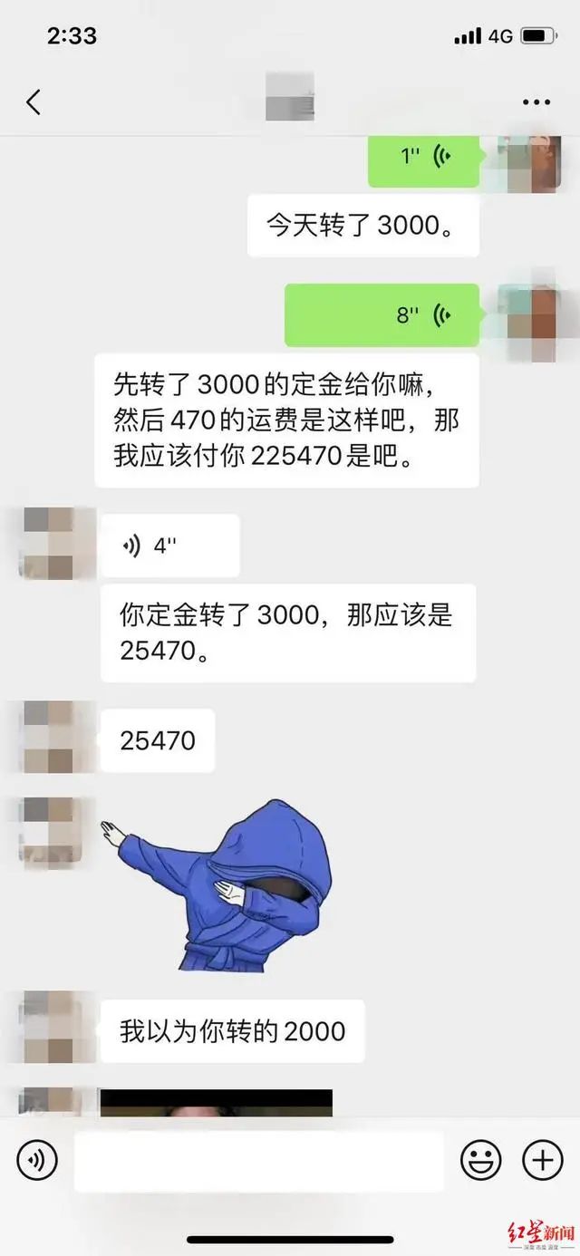3万元布偶猫配种时跳楼死亡！做好一件事，猫狗寿命增加三成(图1)