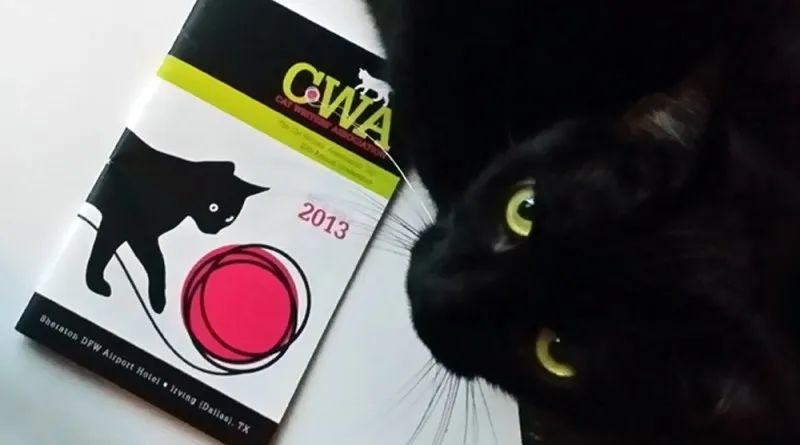 猫罐必须这样喂！开罐超过这时间别再吃，喂食小猫更要讲究(图3)