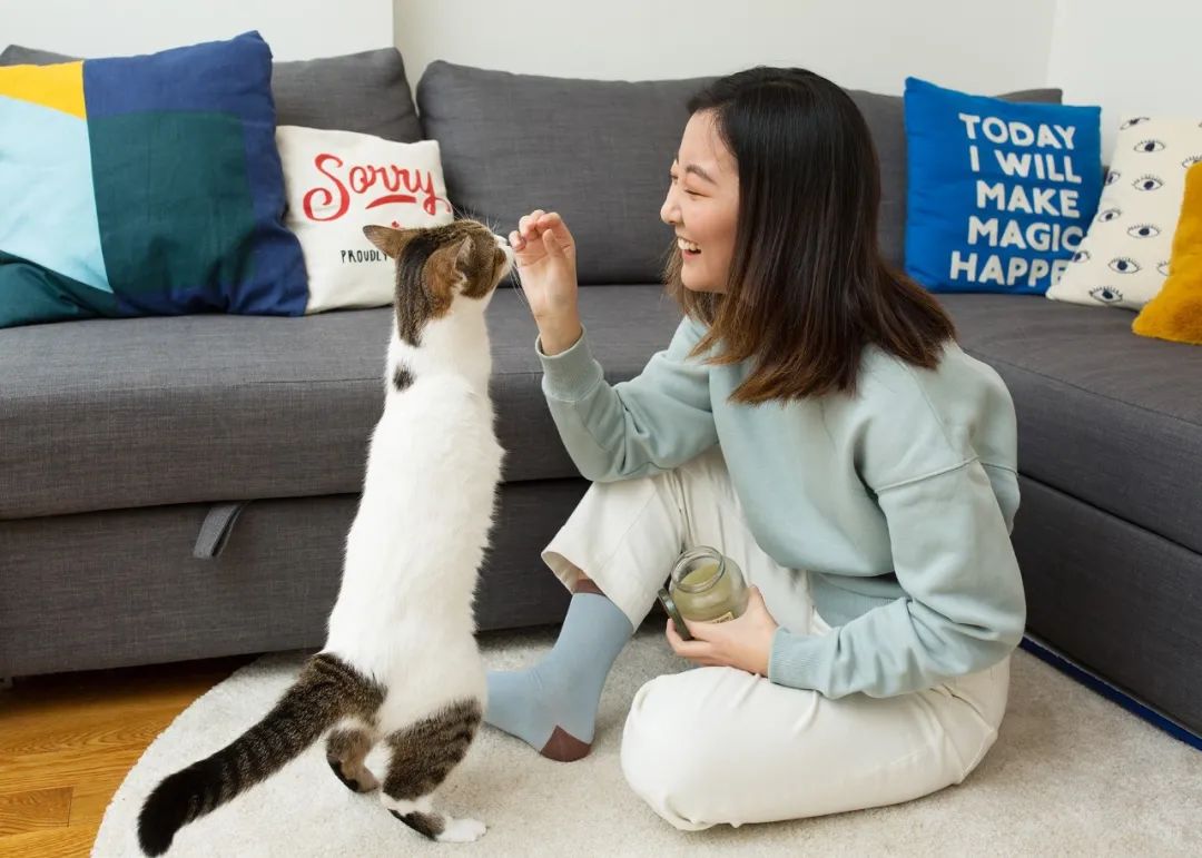 色咪咪？科研称猫咪更喜欢向少女卖萌！女性养一只猫有好处(图3)