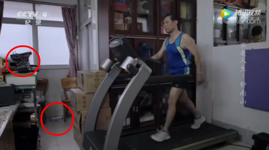 如此喂食不是爱猫是害猫，三分之一猫咪受害！钟南山也不这样喂(图10)