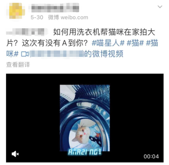洗衣机又杀死了一只猫！养猫家庭洗衣服前，有件事不能偷懒(图14)