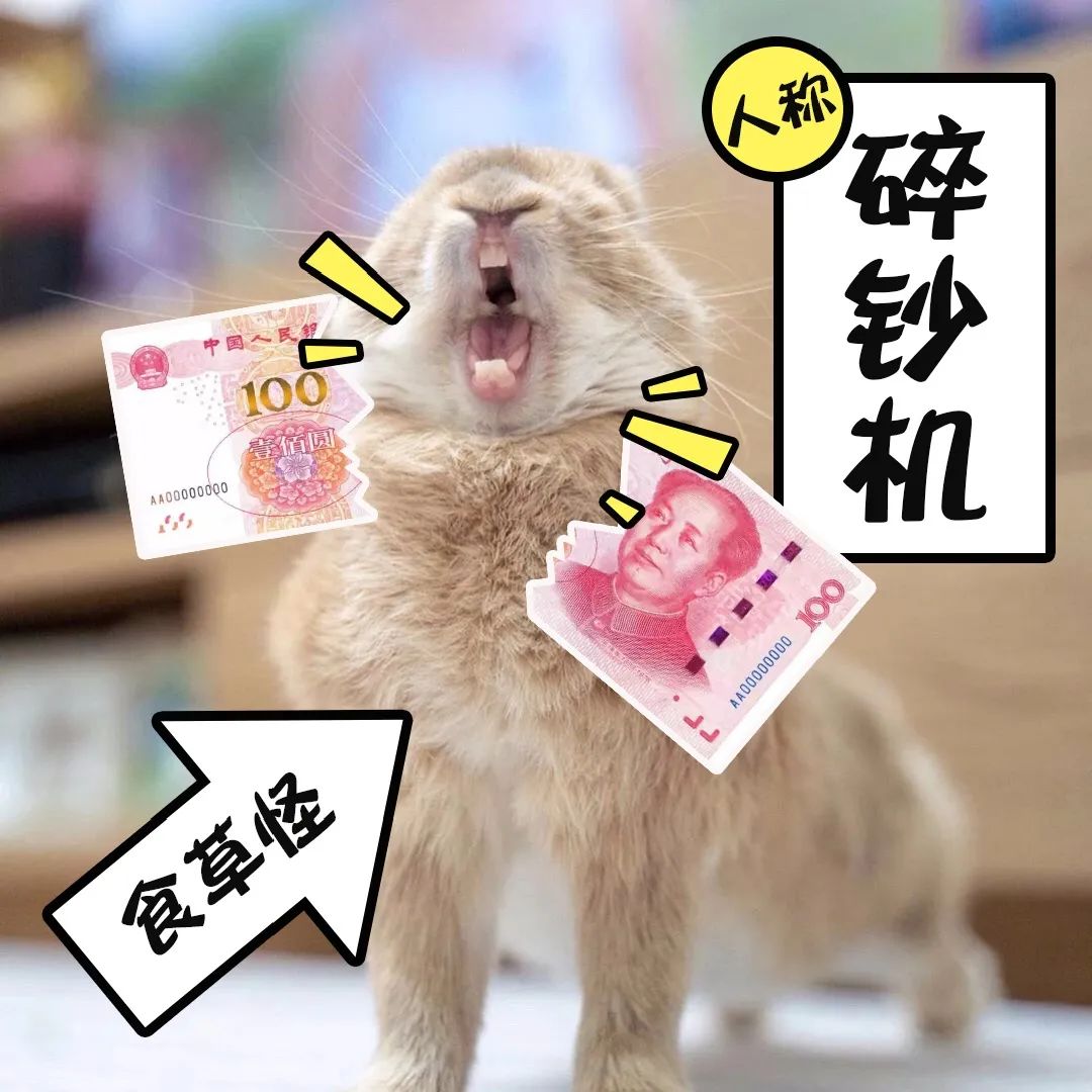 兔兔不为人知的另一面，了解后你还会养兔子吗？(图21)