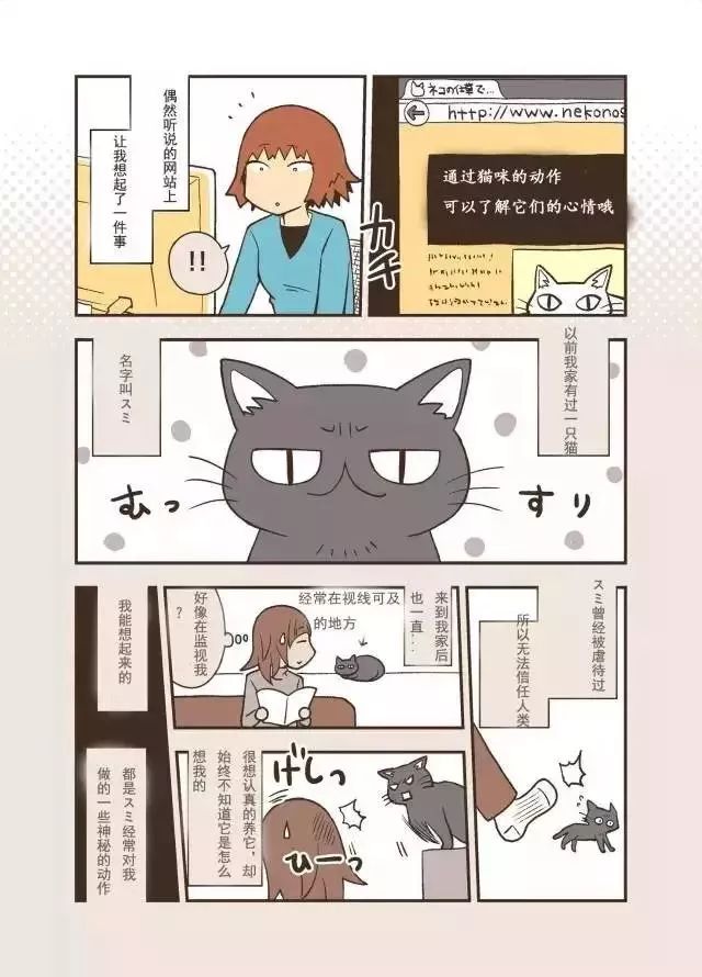 猫咪去世三年后，我才发现它也非常爱我！别错过这些猫咪爱的表示(图3)