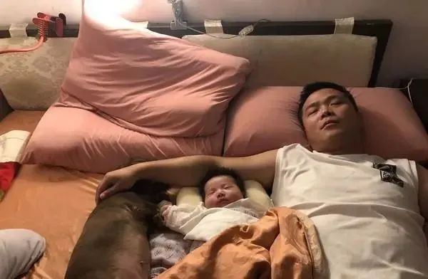 最新研究！冬天跟狗或猫一起睡，比与人同床共眠好处更大(图9)