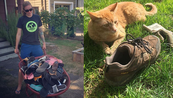足味癖萌猫博偷街坊鞋子 主人说 一车战利品 迎接认领