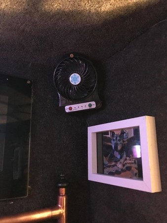 狗狗眯眼管工超奢侈狗窝 完毕照惊呆网友：有电视 比尔房间还高档
