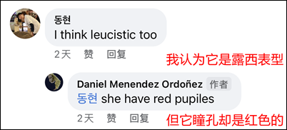 白化巨人守宫再现？我们离进击的“变异”巨人越来越近(图14)