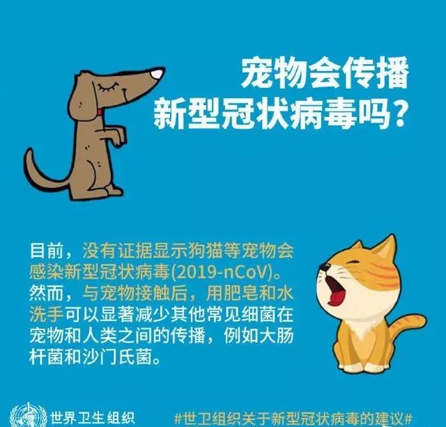 医科教授专业建议！疫情中如何健康地撸猫遛狗？(图3)