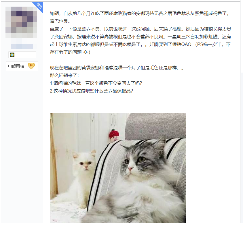 黑猫吃2元一斤渣粮后褪色成灰猫！?；ぶ髯用】敌枰饷醋?图1)