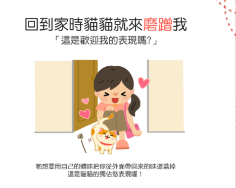 猫咪总在浴室外等你洗好澡，是因为好色吗？知道真相后我不禁笑了(图4)