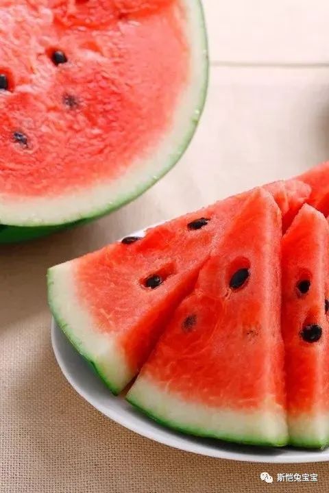 兔兔遇上大热天，如何降温才安全(图7)