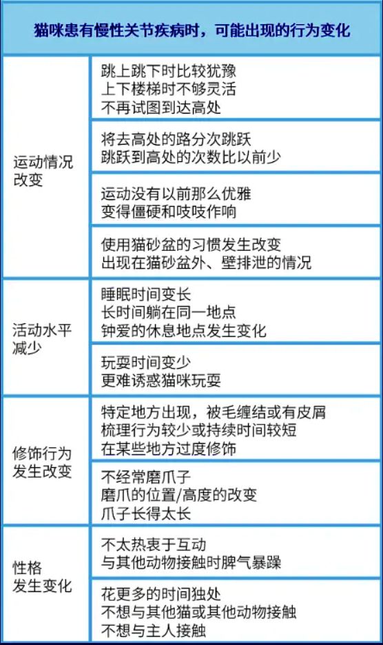 猫咪这种沙雕行为或是生病！80%猫都会经历，做好两件事预防(图7)