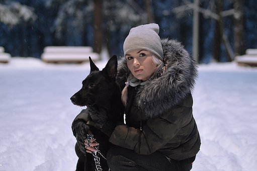 阿拉斯加雪橇犬能吃米饭吗？