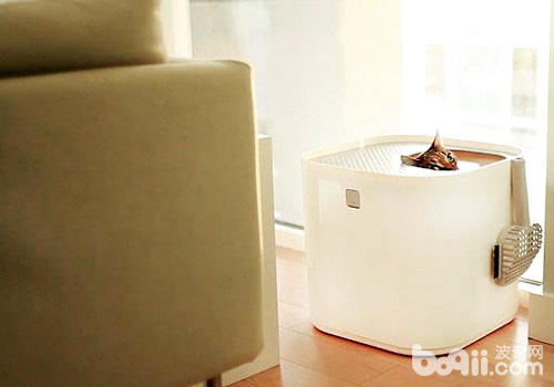 新式猫砂盆：猫咪的奢华马桶？
