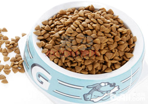 老猫猫粮怎样??？