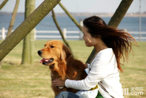 男不养猫，女不养狗必定是对于的吗