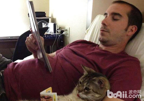 养猫的人比养狗的人更聪慧？