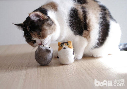 猫咪的高科技玩具备哪些？