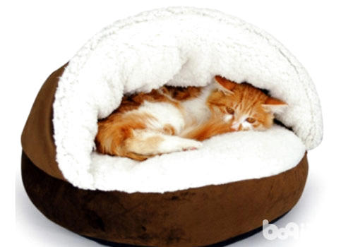 猫窝符合晃搁在哪些位子？