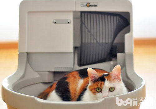 新式猫砂盆：猫咪的奢华马桶？