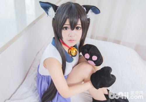 猫咪偏幸女性？