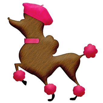 阿拉斯加犬能瞅家吗？