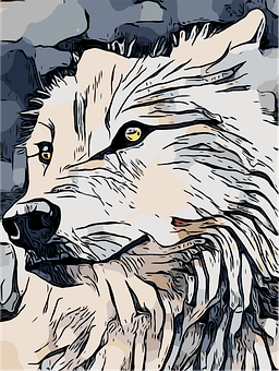 阿拉斯加犬能吃桔子吗？