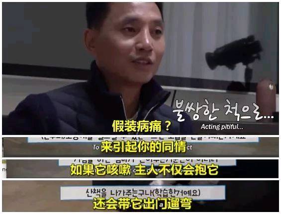 你了解你的狗子为了出去玩 有多拼吗？