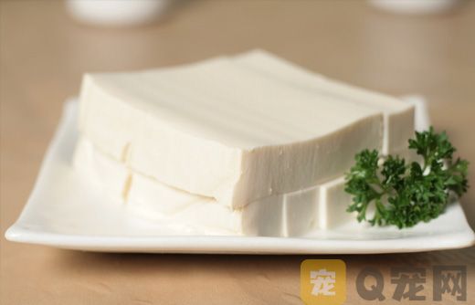 宠物狗能吃豆腐吗？