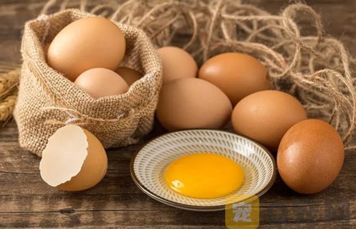 狗狗可以吃生鸡蛋吗？