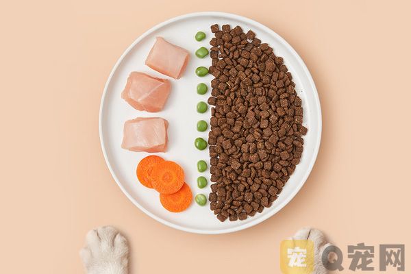 选购狗粮需要注意什么问题？(图1)