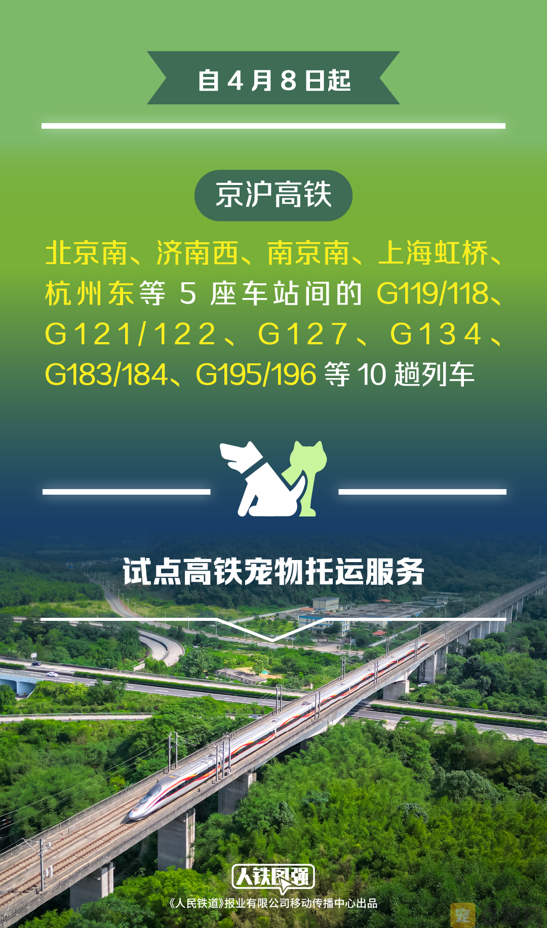 4月8日起铁路部门试点高铁宠物托运服务 铁路12306同步推出“宠物托运”功能(图1)